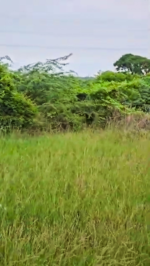 Alathur Junction OMR