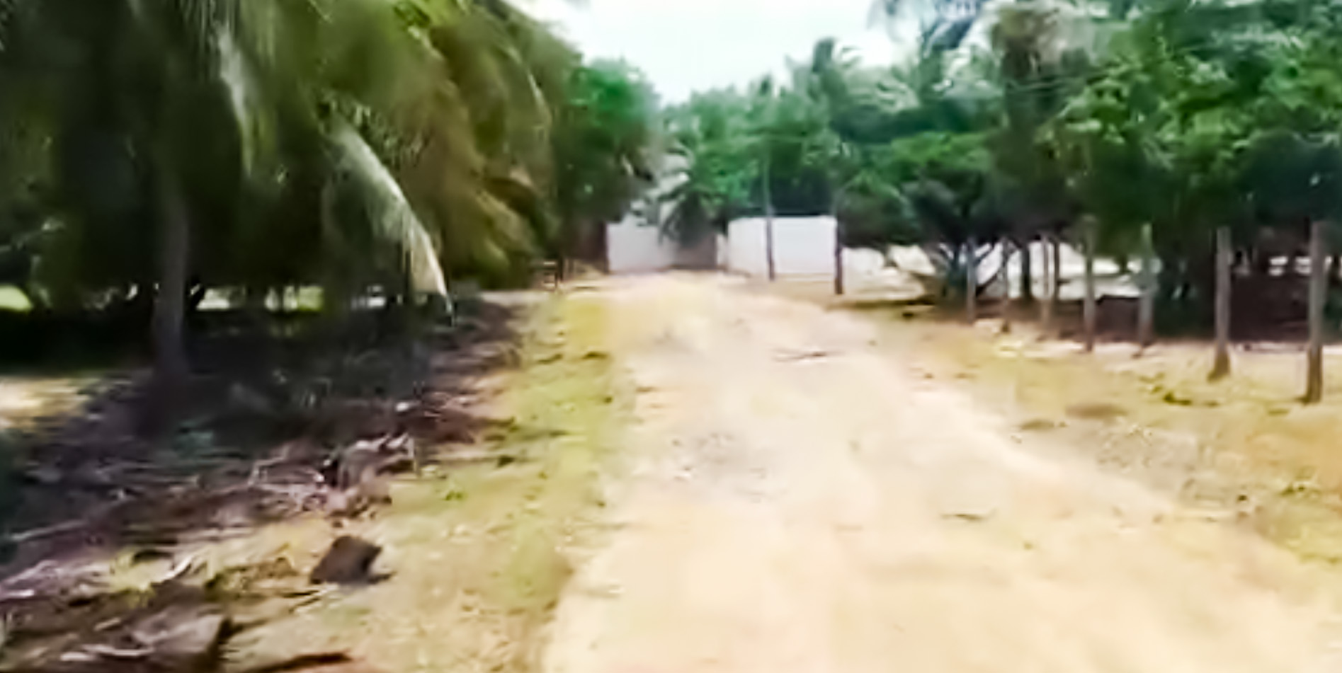 Vadapattinam village