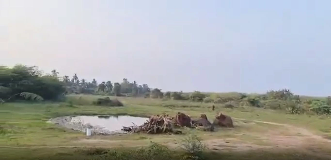 Marakanam to Thindevanm Road