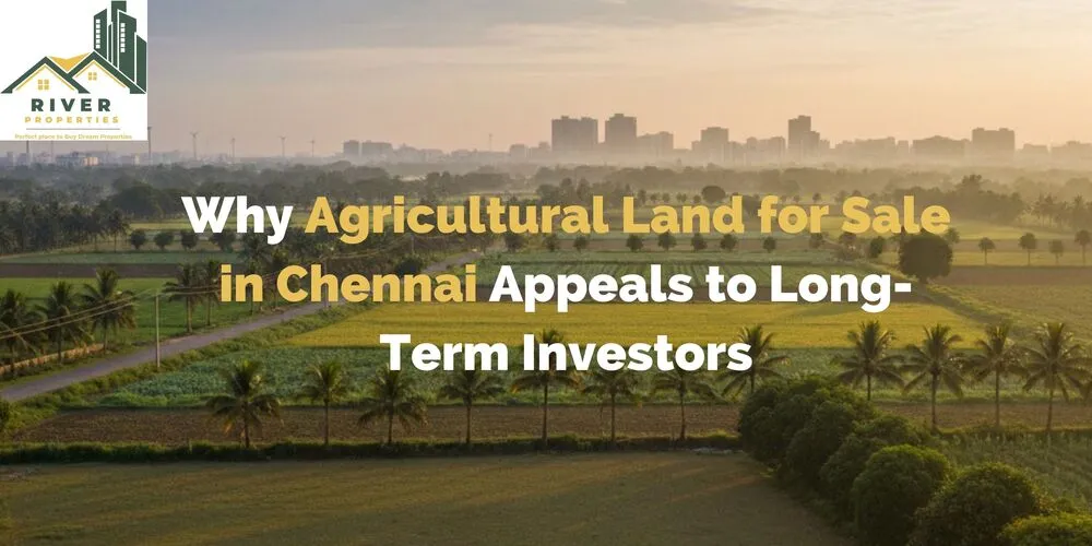 why-agricultural-land-for-sale-in-chennai-appeals-to-long-term-investors