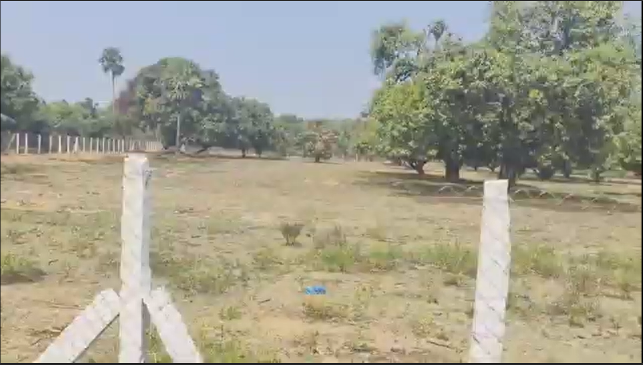 Pannaiyur_from_ECR