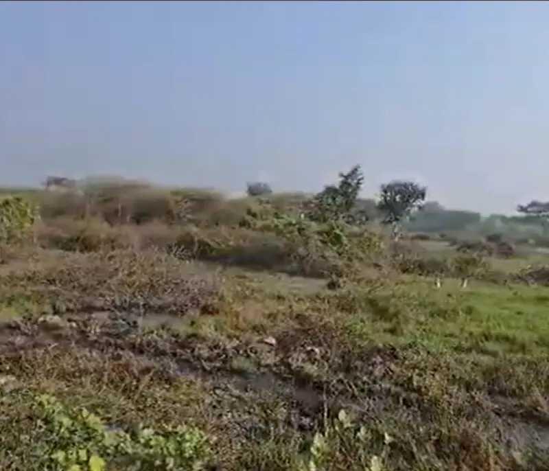 Maduranthagam-Padalam-property