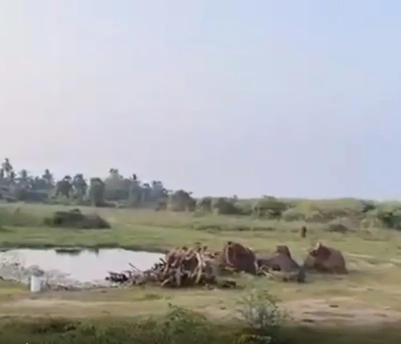 Marakanam-to-Thindevanm-Road-property