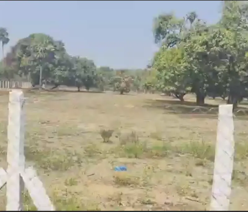 Pannaiyur_from_ECR-property