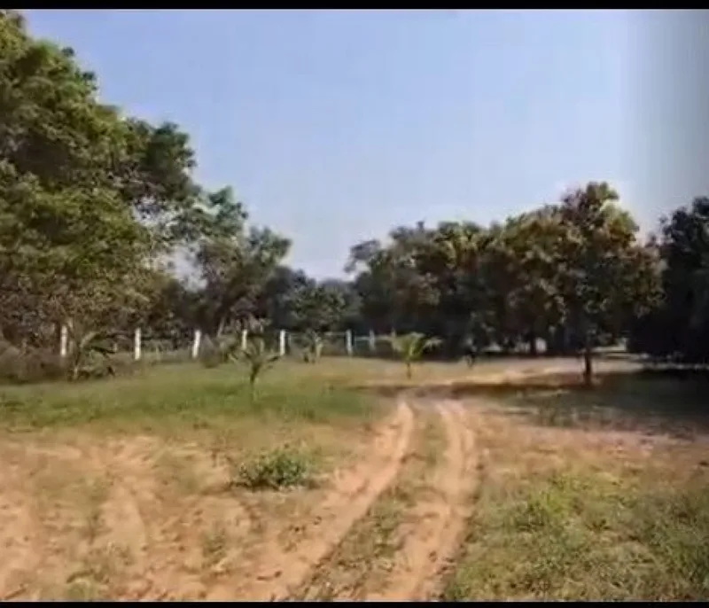 pandur-village-property