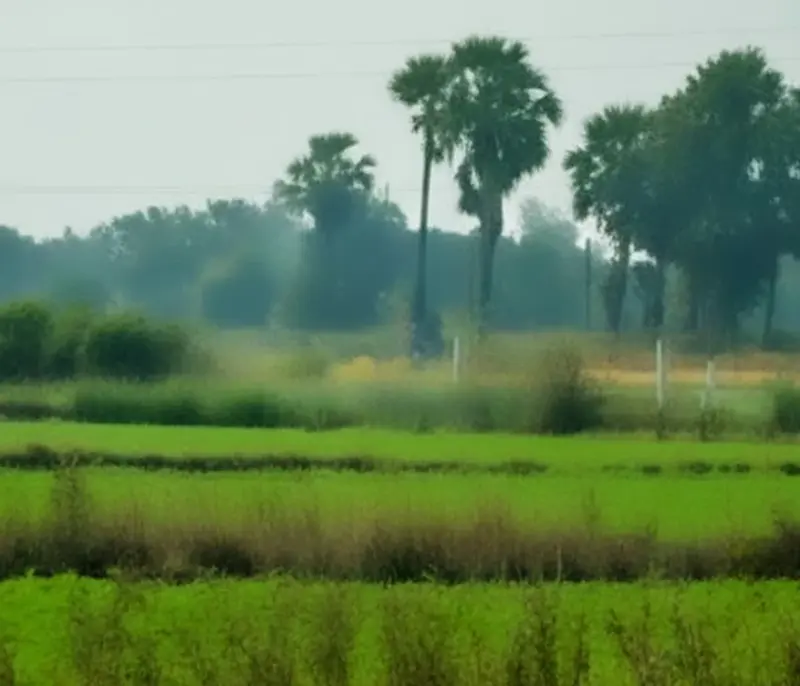 vasanthavadi-property
