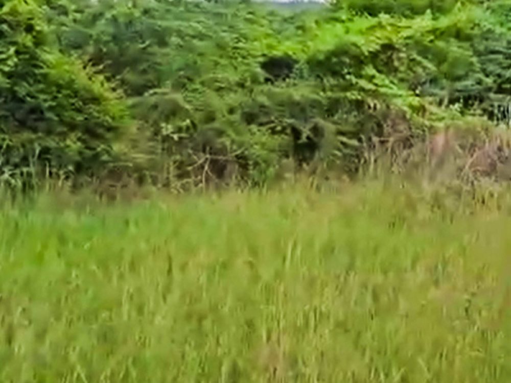 Alathur Junction OMR