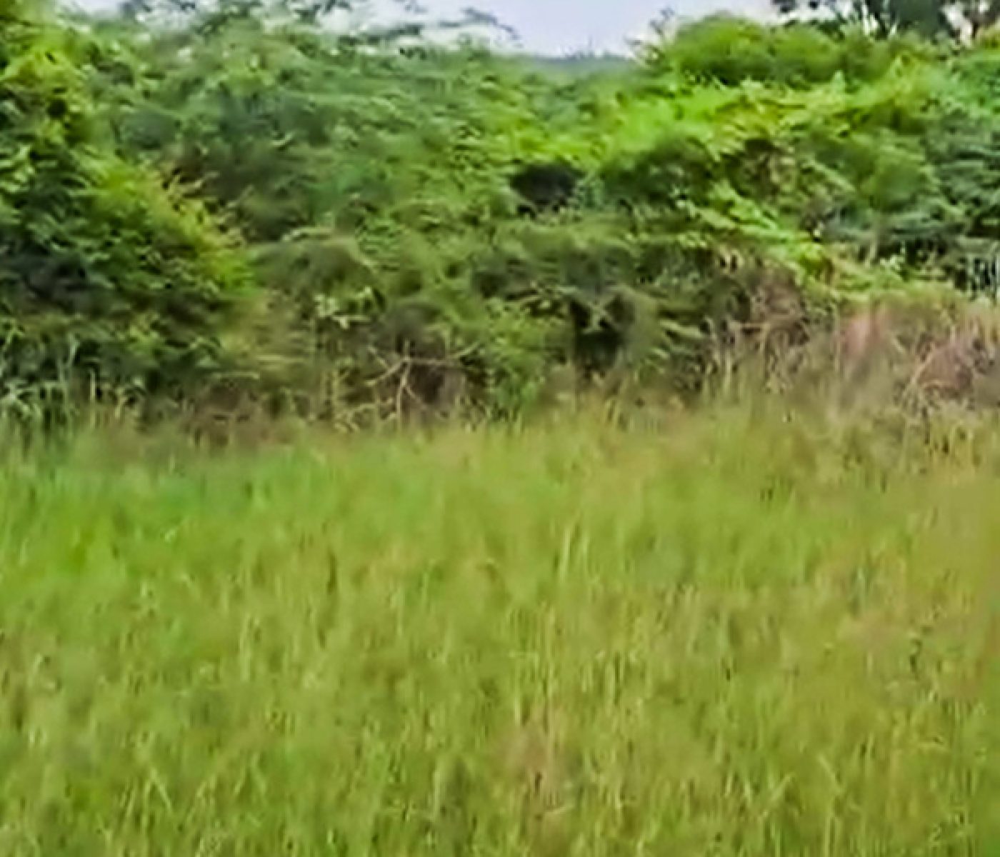 Alathur Junction OMR