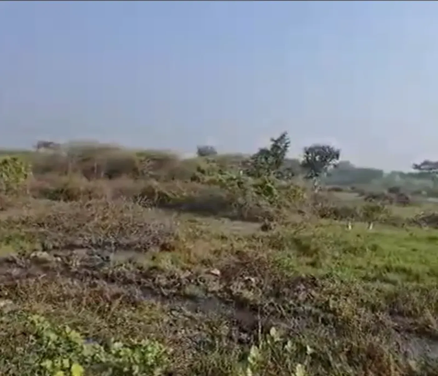 Maduranthagam-Padalam-property