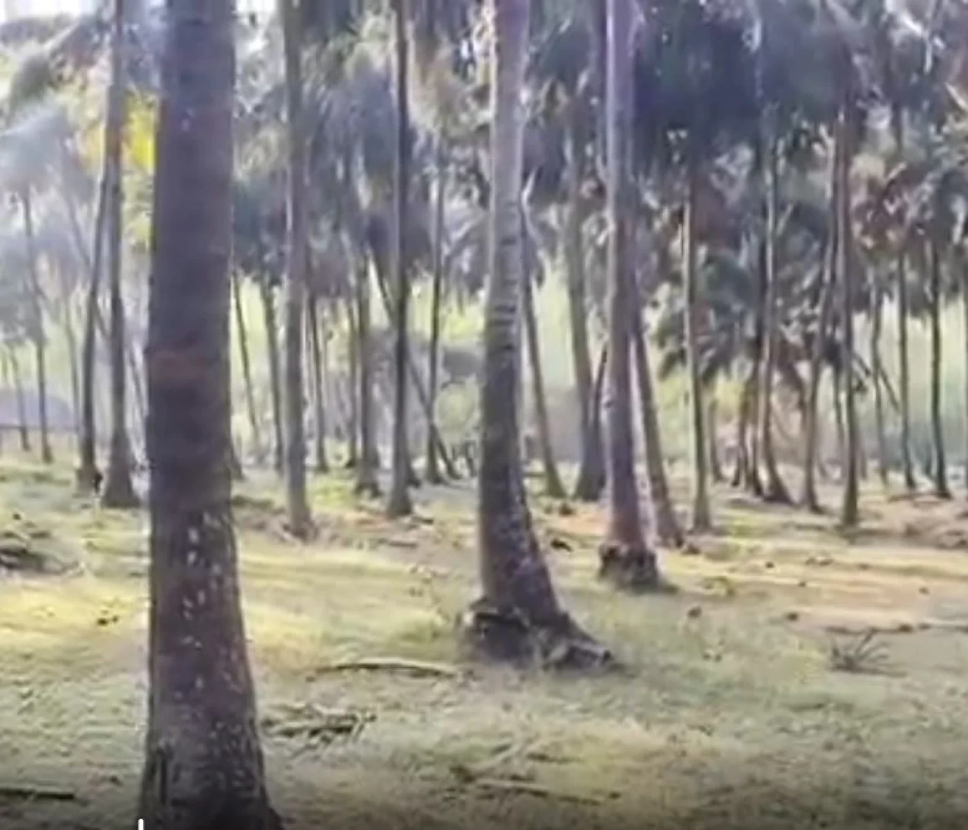 Marakanam on the road