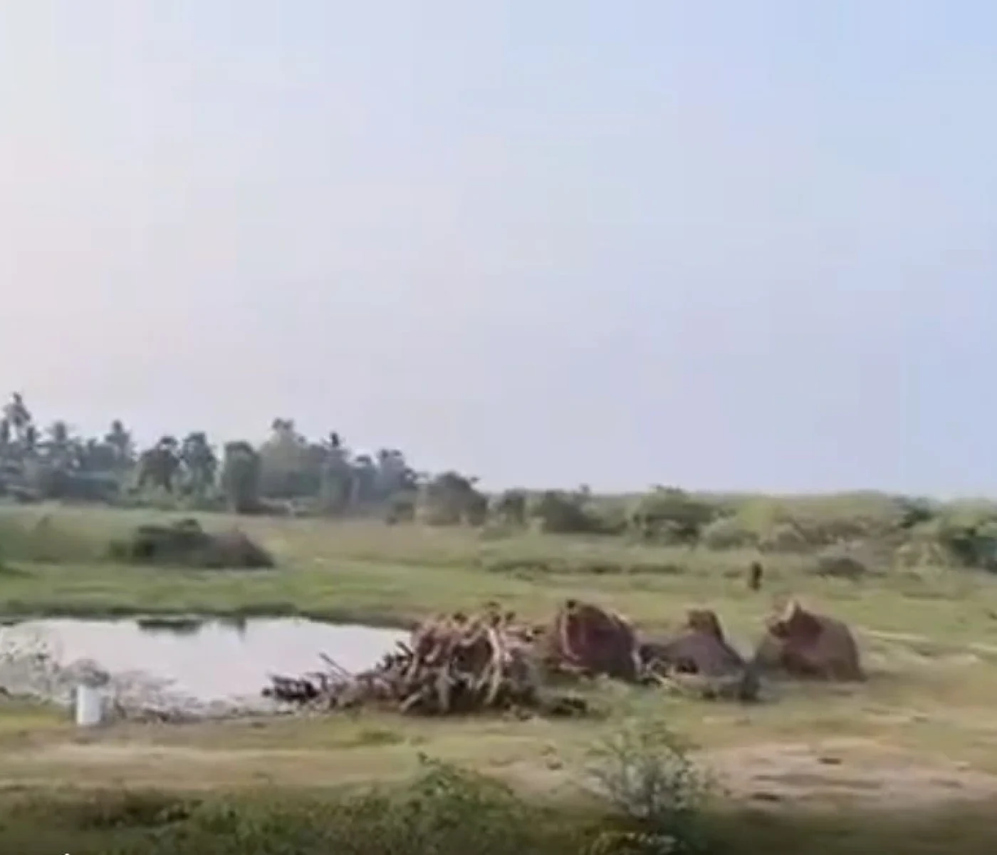 Marakanam to Thindevanm Road