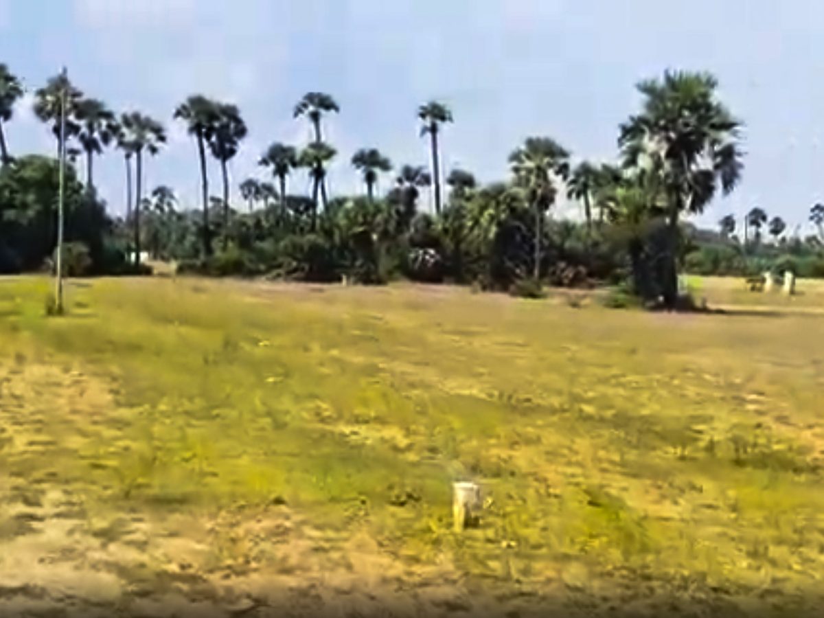 Mugaiyur beach property