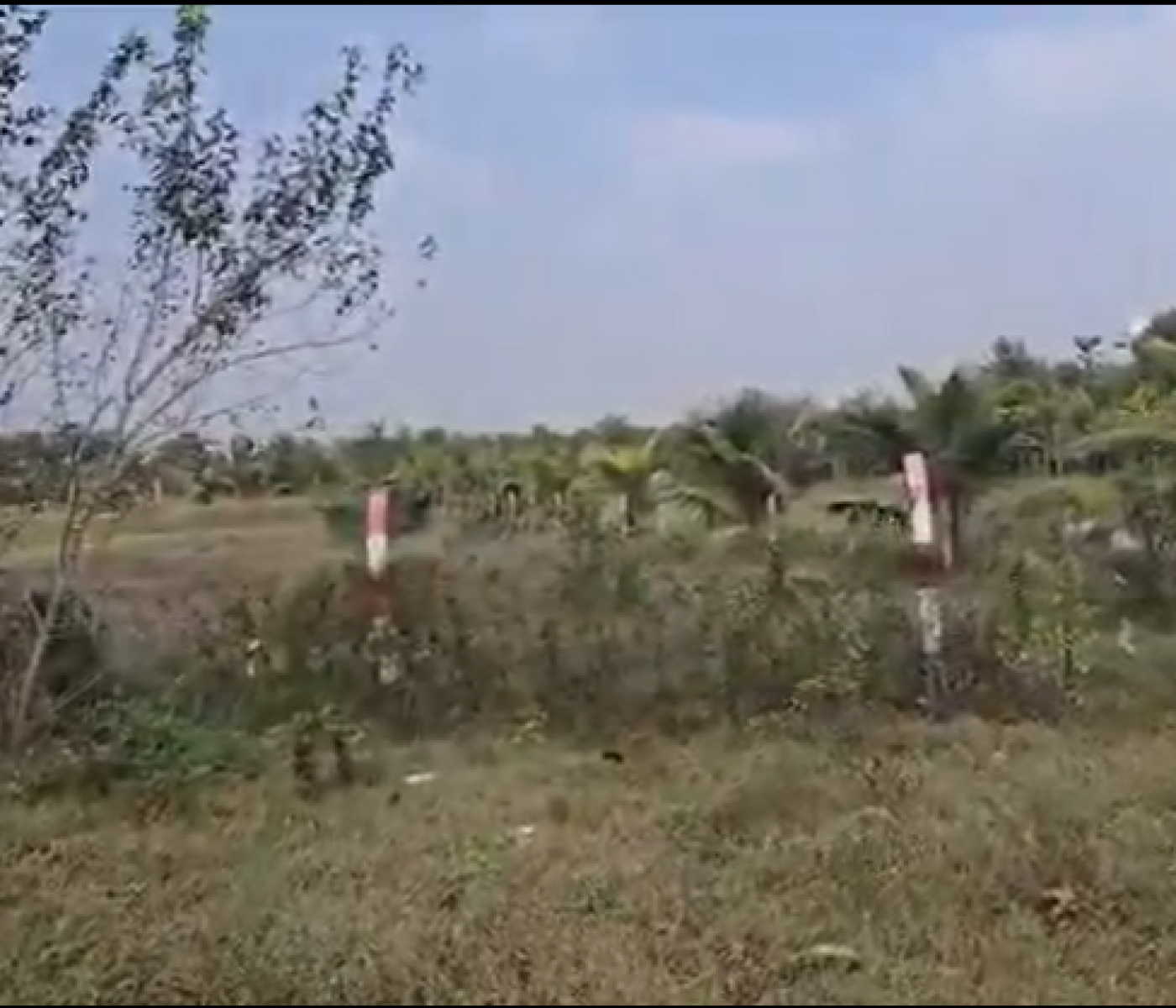 NH Konnerikuppam