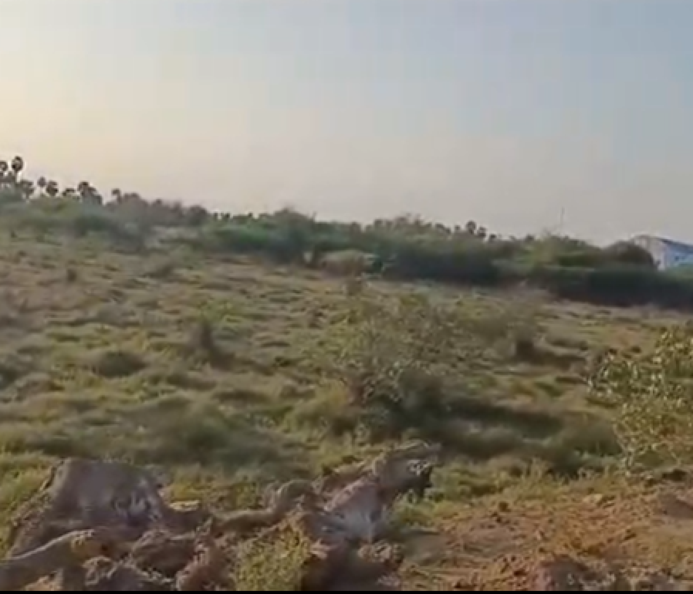 Pukkathurai