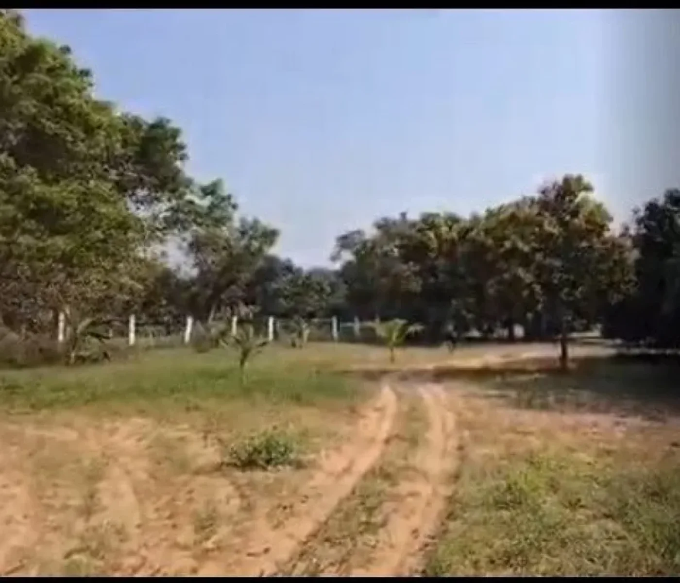 pandur-village-property
