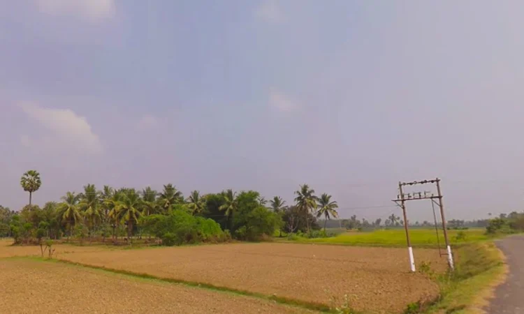 residential-plots-ecr-kalpakkam