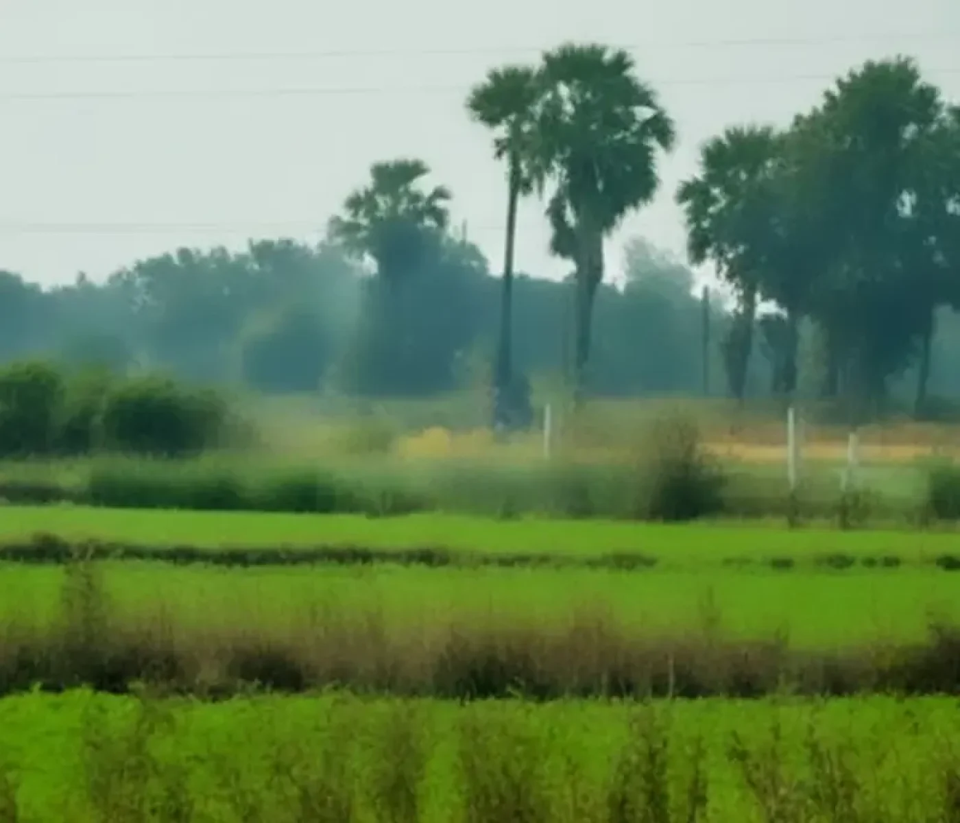 vasanthavadi-property